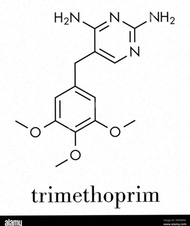 trimetoprim